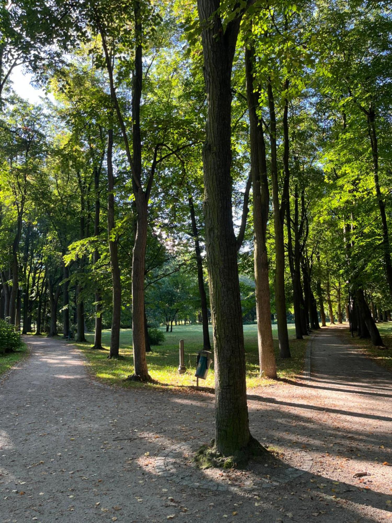 Sweet Home Cieplice Mountain View Apartament By The Main Park And Thermal Pools Jelenia Góra Exterior foto